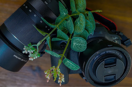 Andrea Schiller Fotografie – Bild 2