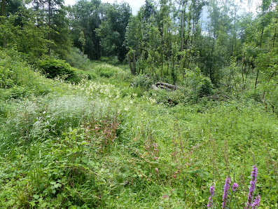 Hochzeitsfotos Mülheim an der Ruhr trau-zeuge.de – Bild 2