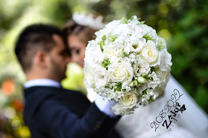 Zakivideo