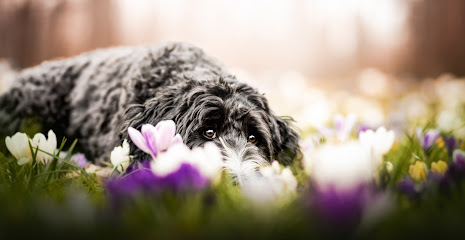 fokuspokus Tierfoto