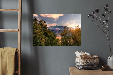 Harzwald Fotograf – Bild 4