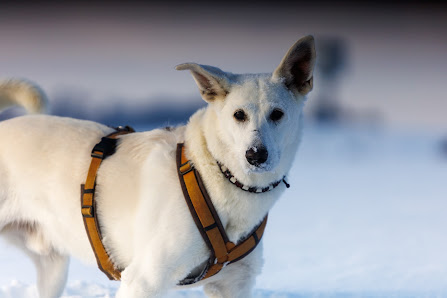 Thomas Dreesen Photography – Bild 5