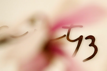 fotoart13 – Bild 3