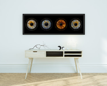 Eyepixx Iris-Fotografie Erfurt – Bild 3