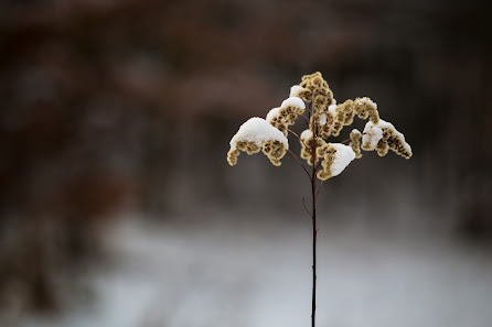 Nils Dellmann Fotografie – Bild 5