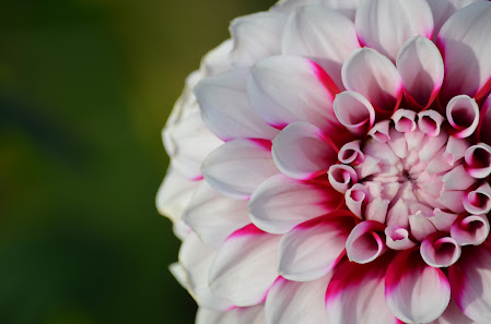 Herz & Blitz Fotografie – Bild 4