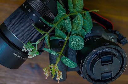 Andrea Schiller Fotografie