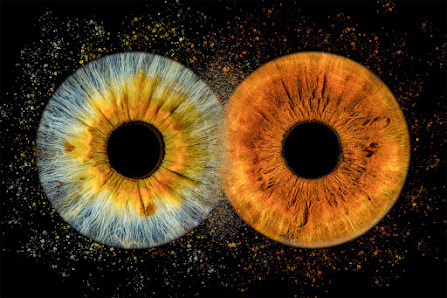 iris-fotografie-nürnberg – Bild 4