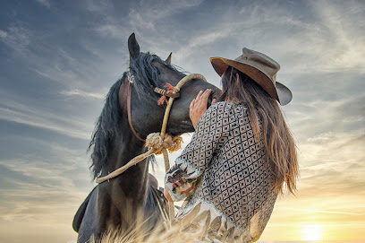 Regina Heise Photography