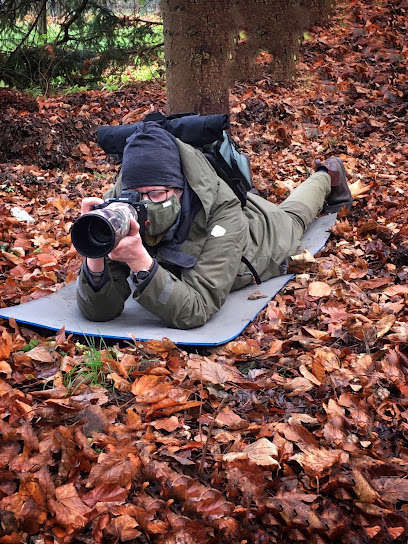 Seidensticker Fotografie
