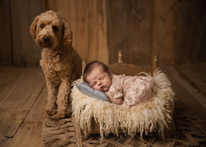 Alina Bodeit Fotografie – Bild 6