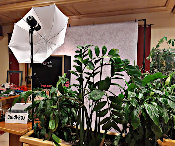 Buidl-BoX Roding - Die Profi Fotobox für Dein Event (Vermietung Photobooth) – Bild 3