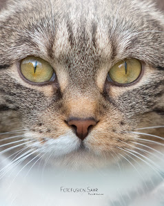 Fotofusion-Saar / Momo Schramm – Bild 4
