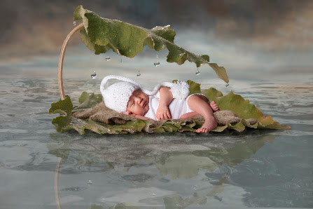 Studio Zink mobil Fotografen Regensburg – Bild 5