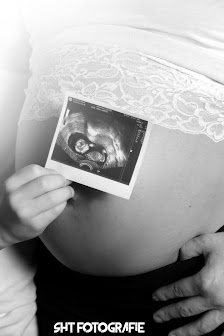 ＳＨＴ Ｆｏｔｏｇｒａｆｉｅ – Bild 6