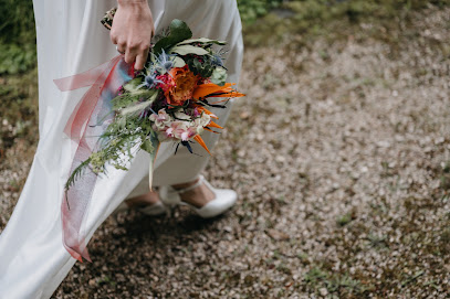 Lisa Haensch Photography