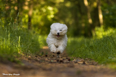 Thorsten Ophey Fotografie