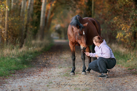 Pferdefotografie Syke – Bild 3