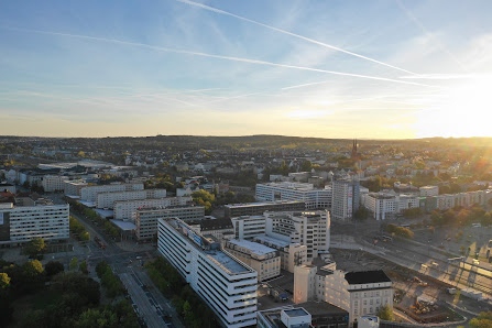 mohrfeeling – Bild 2