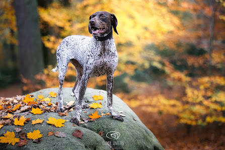 Oliver Lentzen Photografie – Bild 6