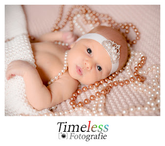 Timeless Fotografie – Bild 4