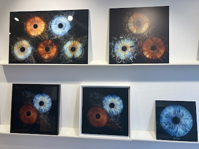 Iris Galerie Potsdam – Bild 4