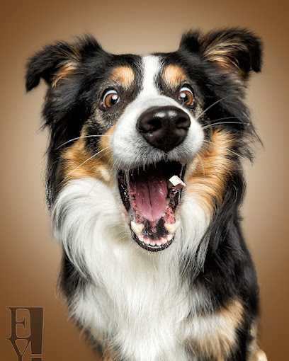 EY! Fotografie