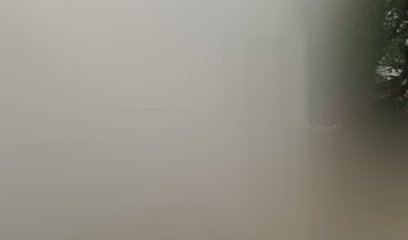 Blickrausch I Ihre Fotografin in Bonn