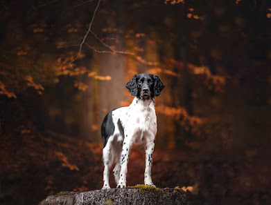 Monoart Photography – Bild 3