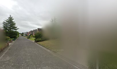 Nebulas-picture
