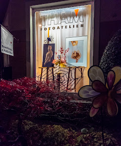 THAM - Fotoatelier – Bild 6