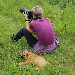 Photos.by Nicole Streit – Bild 2