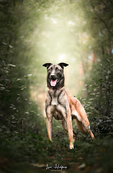 Levi Helfers - Fotografie – Bild 3