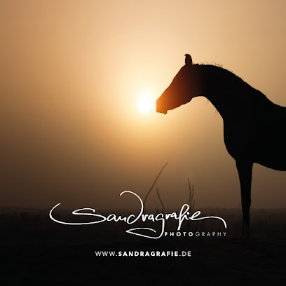 Sandragrafie / Sandra Reitenbach Fotografie