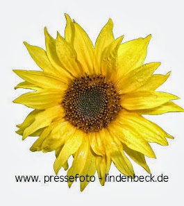 Fotograf / Pressefotografie Angelika Lindenbeck – Bild 3