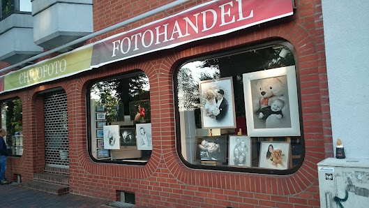 Chico Foto – Bild 3