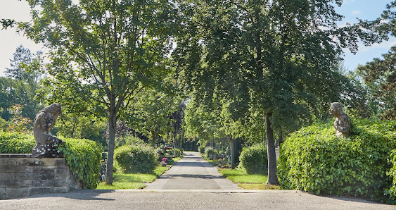 Ortmann Trauerfotografie – Bild 2