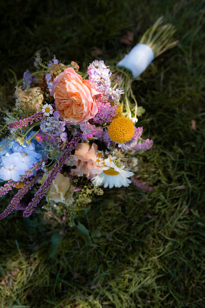 Hochzeitsfotograf - Julia Stollenwerk Fotografie