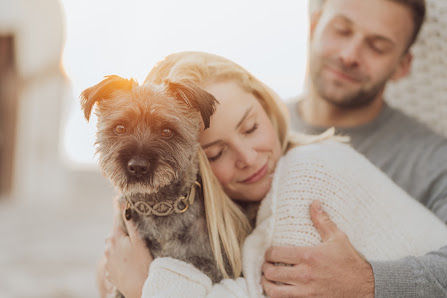 Deine Hundefotografin | Fotograf für Hund & Mensch an der Ostsee in Rostock – Bild 2