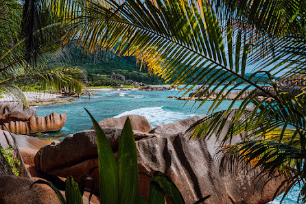 Seychellen Heiraten Fotograf & Film – Bild 5