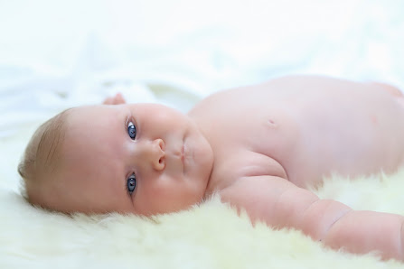 Lins.Photografie – Bild 3
