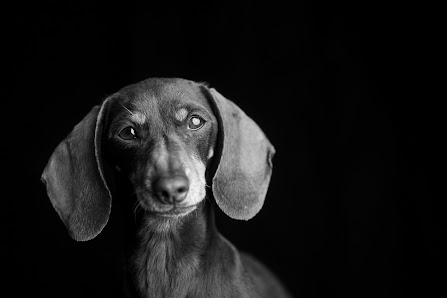 Fotografin Julia Manka – Bild 3