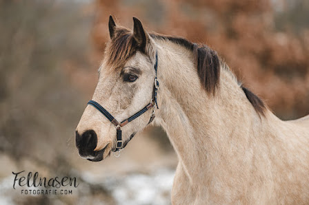 Fellnasenfotografie.com – Bild 4