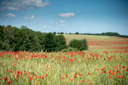 Jörn Lehmann Photographie – Bild 2