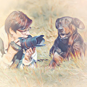 Pfotenphantasie - mobile Fotografie – Bild 2