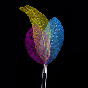 David F. Schulz Photography – Bild 3