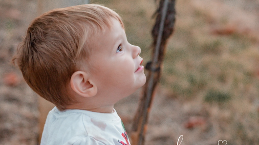 Pictures of Ballmann Larissa Photography – Bild 2