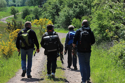 Foto-Kiefer - Fotoschule