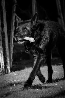 Frini‘s Fotografie – Bild 3