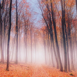 Lars Prignitz Photography – Bild 2